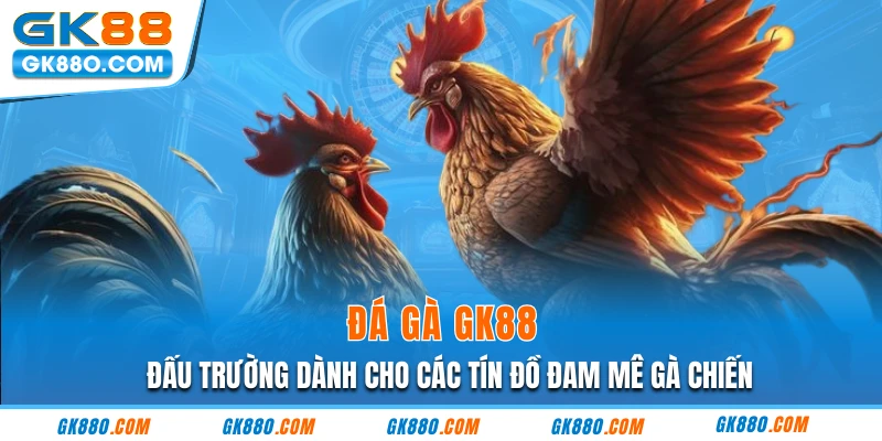 Đá Gà GK88 - Đấu Trường Dành Cho Các Tín Đồ Đam Mê Gà Chiến