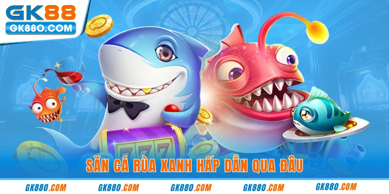 Săn cá rùa xanh hấp dẫn qua đâu