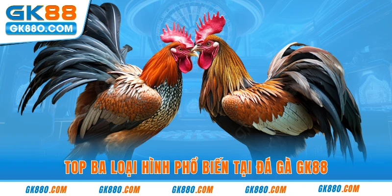 Top ba loại hình phổ biến tại đá gà GK88